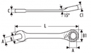 EXPERT RATCHETING WRENCH 19 MM