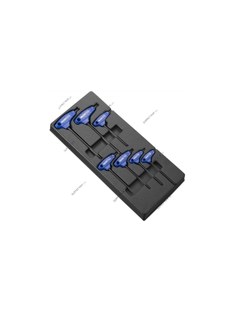 EXPERT 7PCS TORX-T-HANDLE MODULE