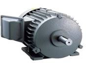 Standard Three-phase induction motor